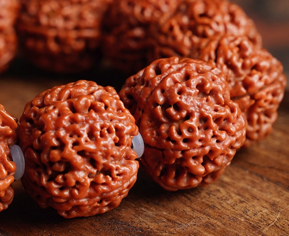 Five-Petal Large Rudraksha Bracelet – Natural Seeds, For Good Fortune & Vitality