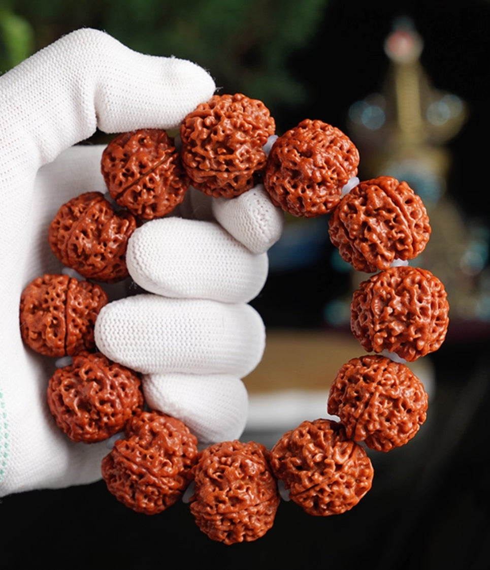 Five-Petal Large Rudraksha Bracelet – Natural Seeds, For Good Fortune & Vitality