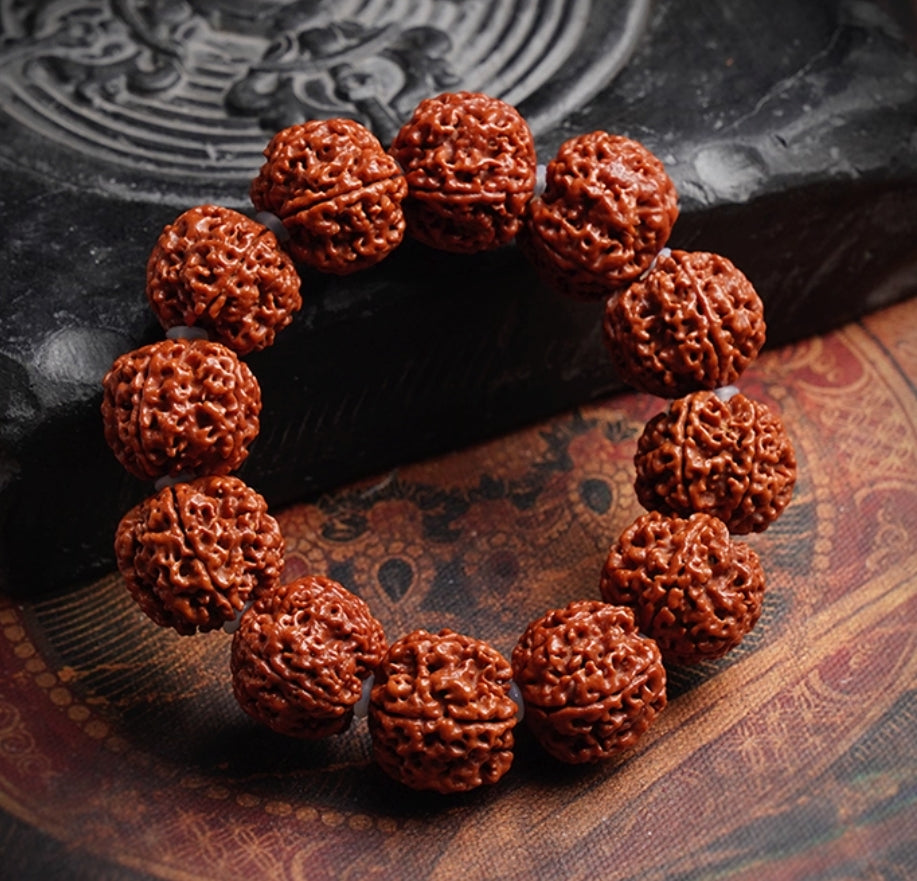 Five-Petal Large Rudraksha Bracelet – Natural Seeds, For Good Fortune & Vitality